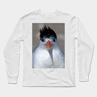 Royal Tern Long Sleeve T-Shirt